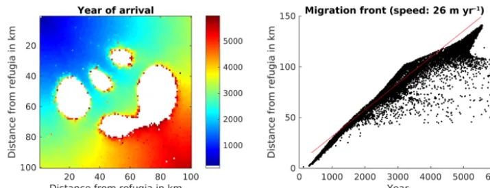 Figure 6. Spread of Fagus sylvatica using the SMSM method through an area of 100×100 grid cells with identical climate but the probabilityof seed fall set to 0.00005 multiplied with the spatially explicit seed dispersal permeability value as shown in Fig