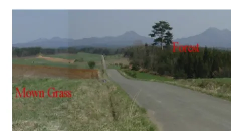Figure 2. Image of the two areas (grassy and forested) used inroughness survey exercise.