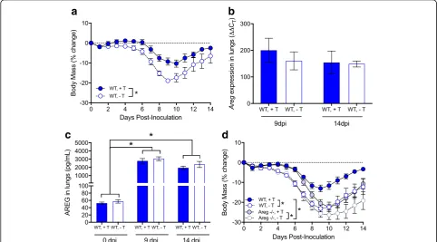Fig. 7 Testosterone and amphiregulin (AREG) independently protect against influenza A virus disease in males