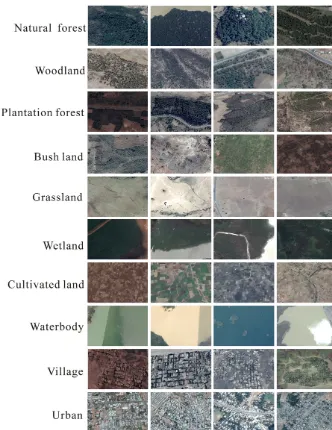 Figure 2. Interpretation marks based on the Google Earth images.