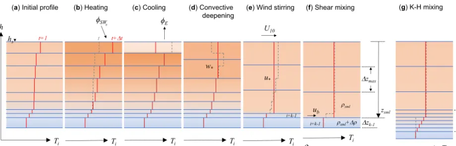Figure 8. Schematic depiction of layer changes during stratiﬁcation and mixing. Consecutive panels show changes from (a) the initial layerand thermal proﬁle, to (b) heating due to solar radiation, to (c) evaporative cooling, which creates (d) convective mi