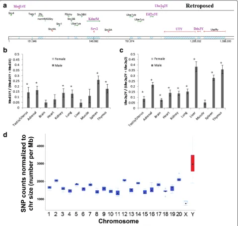 Fig. 2 Rat MSY genes.rats.and Y copies, in such that values of 0.5 are a 50/50 ratio of transcripts from the X/8 and MSYs and a value of 0 is expression from onlythe X/8-chromosome.and female animals