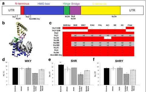 Fig. 3 Characterization of the multipleSNVs allowing for identification using short reads