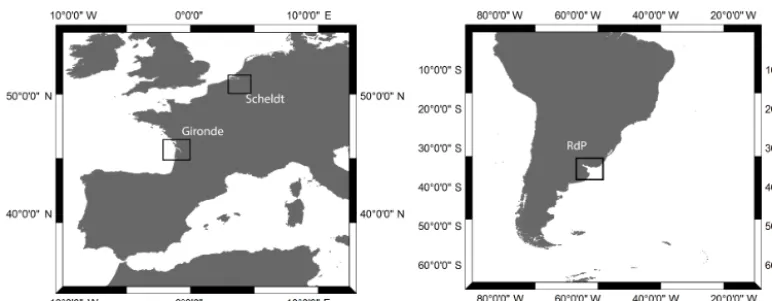 Figure 1. Locations of the study sites: Scheldt (Belgium), Gironde (France), and Río de La Plata (Argentina).