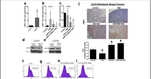 Fig. 2 CD47 gene expression is associated with increased resistance to anti-estrogen therapy.tumors harvested from mice treated with saline (control), 400 ppm tamoxifen citrate in chow (TAM), GRP78 anti-sense morpholino (GRP78M), or TAMplus GRP78M (control