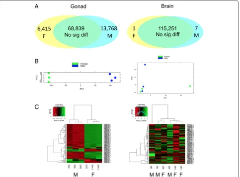 Fig. 3 Gene expression patterns in the brain (females (right) and gonads (left). a Numbers of differentially expressed contigs between TP males (M) andF)