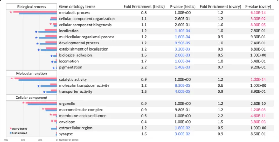 Fig. 4 Top GO terms enriched in the ovary (pink) and testis (blue). Enriched GO terms with modified Fisher exact test p value below 0.05 and foldenrichment above 1.2 are shown here