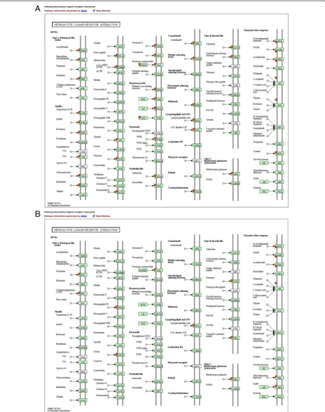 Fig. 6 The neuroactive ligand-receptor interaction pathway was significantly enriched in the testis (a) but not in the ovary (b)