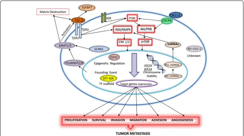 Fig. 1 Schematic diagram summarizing functional relevance of metastatic signals in synovial sarcoma