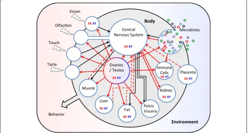 Fig. 1 Sex differences in peripheral influences on the central nervous system. The CNS is embedded in a sexually differentiated body that is embeddedin an environment, which may interact with the body in a manner that varies by sex 