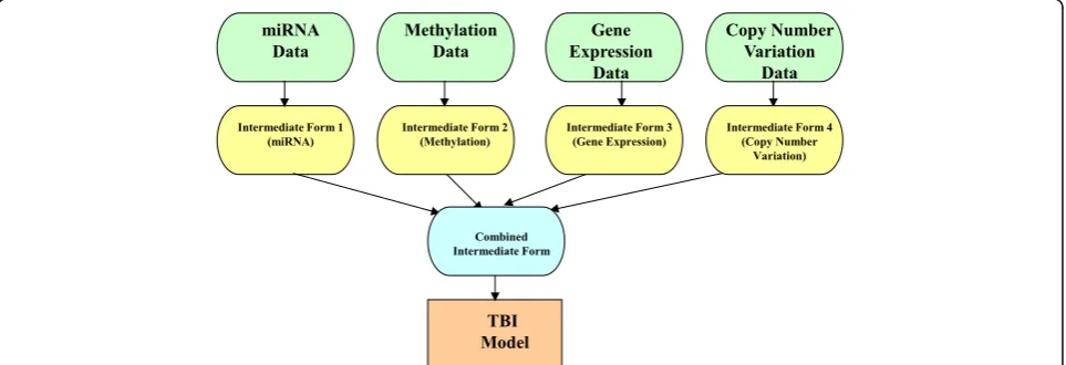 Fig. 3 A flowchart for the transformation-based integration (TBI) software framework