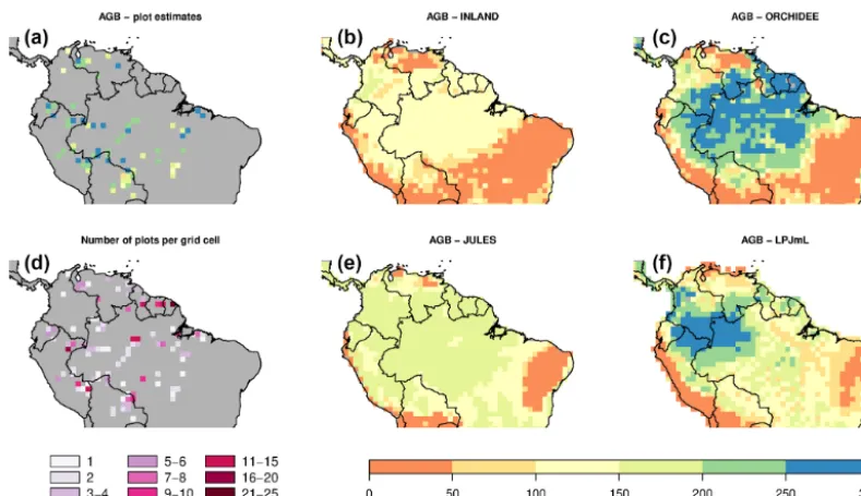 Figure 3. Distribution of aboveground biomass (AGB in Mg C ha−1) from the four DGVMs and from the observational plots (see alsoTable S2 and S3)