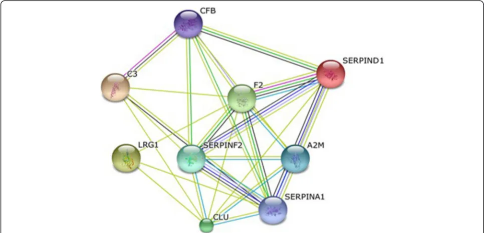 Fig. 3 Interactome generated by STRING interaction database. Required confidence (score): medium confidence (0.400)