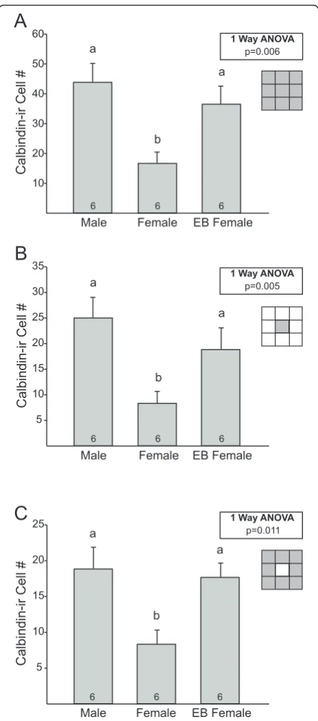 Figure 2 Mean (± SEM) number of cells in the calbindin-N = 6 per group. Different letters above bars indicate significantdifferences between groups inimmunoreactive sexually dimorphic nucleus in the preopticarea (CALB-SDN) of males, females, and females tr