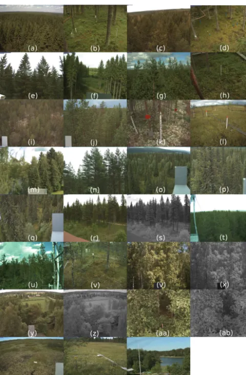 Figure 2. Camera views: MC100MC103MC108MC113MC118MC123MC128 (a), MC101 (b), MC102 (c), (d), MC104 (e), MC105 (f), MC106 (g), MC107 (h), (i), MC109 (j), MC110 (k), MC111 (l), MC112 (m), (n), MC114 (o), MC115 (p), MC116 (q), MC117 (r), (s), MC119 (t), MC120 