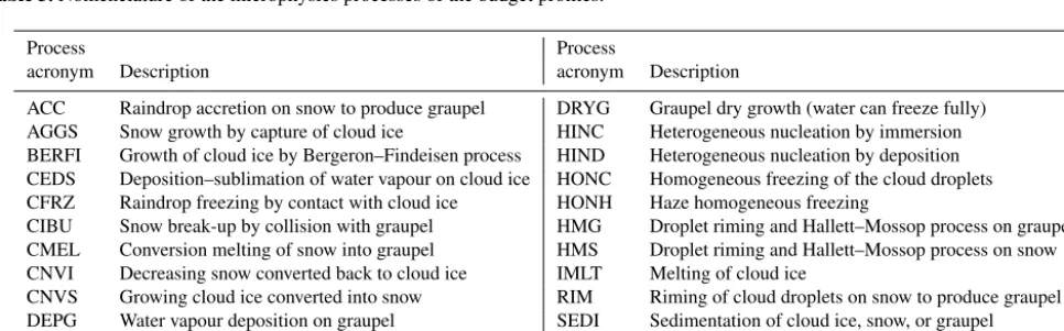 Figure 7. “RANDOM” case of the STERAO simulations showing the mixing ratios ofand (a) the cloud ice (ri), (b) the snow aggregates (rs), (c) the graupel (rg) at 12 km height