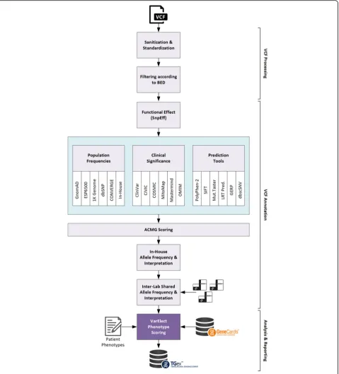 Fig. 1 Architecture of variant interpretation in TGex