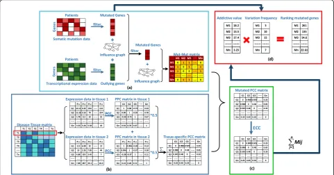 Fig. 1 The workflow of Dytidriver. We divided our whole process of cancer driver gene identification into four steps and marked with ‘a’,’ b’, ‘c’,‘d’