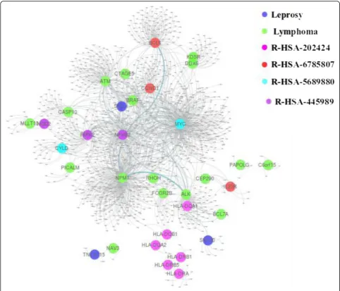 Fig. 9 Pathway relation to genes associated with leprosy and lymphoma