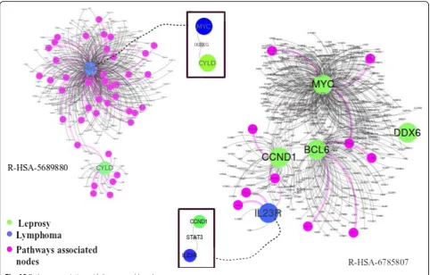 Fig. 10 Pathway association with leprosy and lymphoma