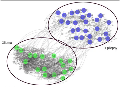 Fig. 11 Gene Disease relation of Epilepsy and Glioma