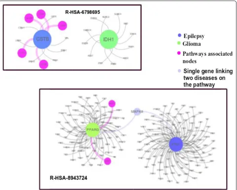 Fig. 12 Pathways relationship with specific genes of Epilepsy and Glioma