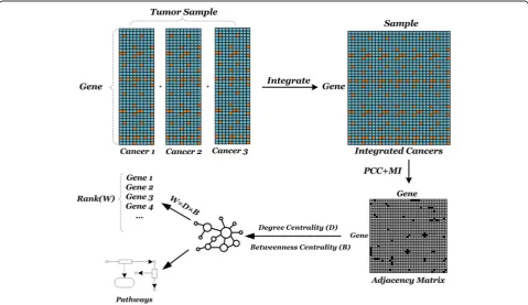 Fig. 1 Diagram of PMN for mining information on multi-cancers integrated data