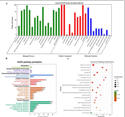 Fig. 5 GO term and KEGG pathway enrichment analysis on BRCA rank list.in BRCA rank list