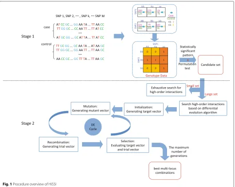 Fig. 1 Procedure overview of HiSSI