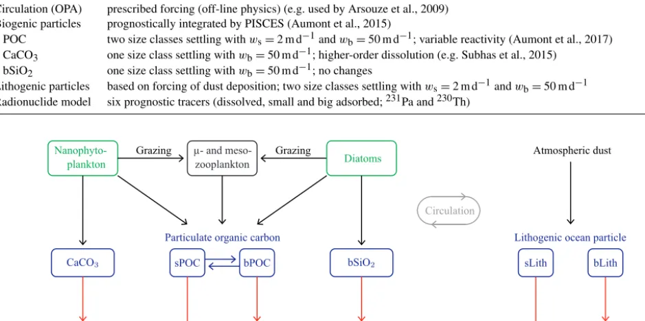 Figure 1. Conceptual model of the particle dynamics on which the numerical model is based