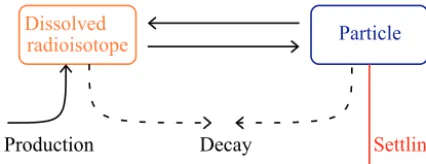Figure 3. The conceptual reversible scavenging model for the ra-orange when in the dissolved phase