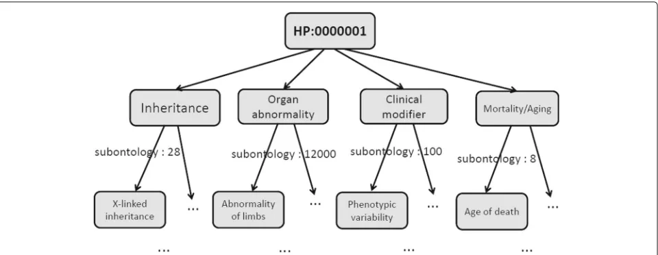 Fig. 1 An example of the HPO hierarchical tree. All parent-child relationships in HPO represent “is-a” relationships