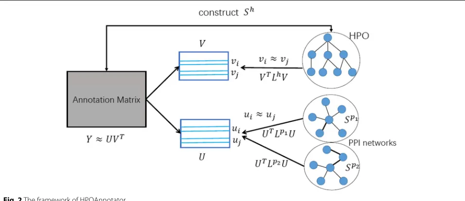 Fig. 2 The framework of HPOAnnotator