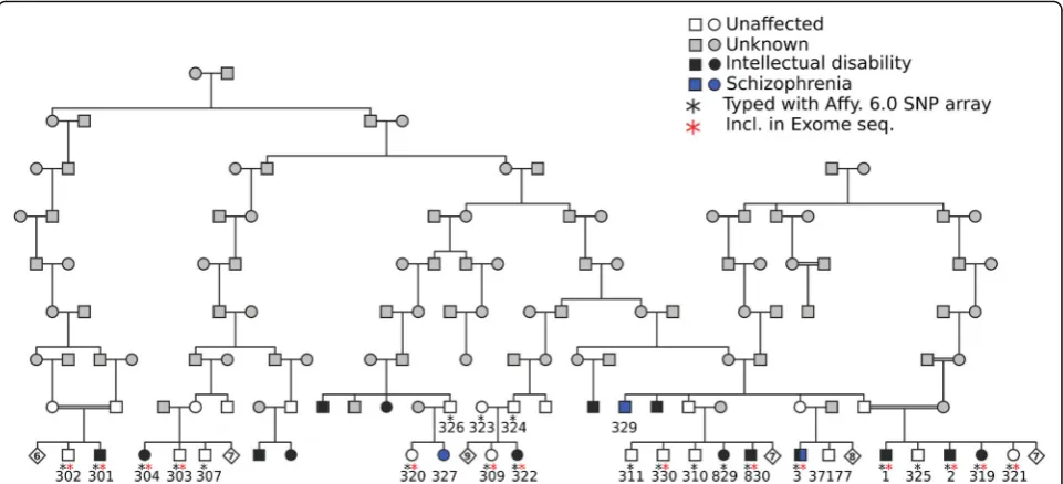 Fig. 1 The large multi-generational Swedish family. The diamond symbol with a number indicates additional siblings that are unaffected but from whomwe did not have DNA