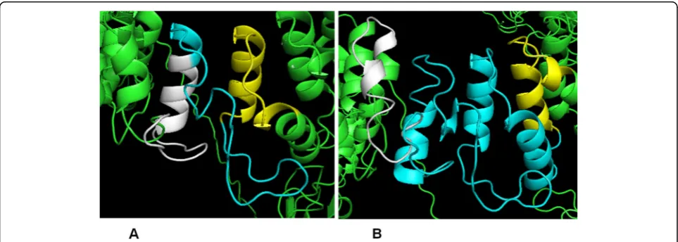 Fig. 2 The 3D structure of the polyQ tract and flanking residues. Representation of the 3D structure of the polyQ tract (in cyan) and 20 aminoacids residues flanking the polyQ tract (in yellow those in the N-terminal region, and in white those in the C-terminal region) in: a wt ATXN1 andb expanded ATXN1