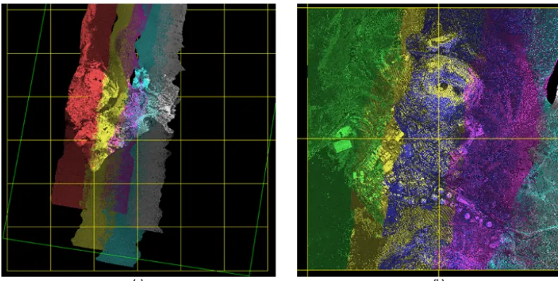 Figure 6. Lidar point cloud strips and point cloud tiles illustrating how a large coverage area is broken down into tiles.strips over McMurdo Station; the strip point clouds have been rendered based on ﬂight line and intensity