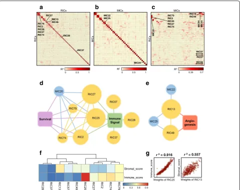 Fig. 5 Correlated component clusters. Heatmaps showing coefficient of determination (r2) between weights of RIC-RIC (a), MIC-MIC (b) and RIC-MIC(c)