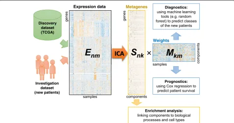 Fig. 1 Visualization of the approach taken to data analysis. A large discovery dataset and a small investigation dataset from patients (both mRNA)were concatenated and analysed together by ICA