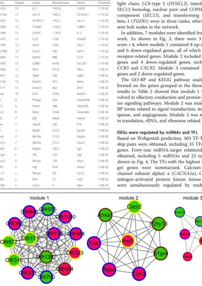 Table 1 Top 30 nodes ranked by Degree Centrality (DC),Betweenness Centrality (BC), and Closeness Centrality (CC) inthe protein-protein interaction network