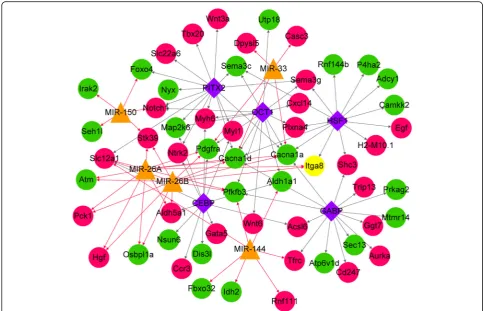 Fig. 4 The transcription factor (TF)-miRNA-target regulatory network. Red circles indicate up-regulated genes, green circles indicate down-regulated genes, yellow triangles represent predicted miRNAs, purple diamonds indicate predicted TFs (only TOP5 with higher number of targetgenes than others), red arrows indicate miRNA-regulated target genes, and gray arrows indicate target genes regulated by TFs