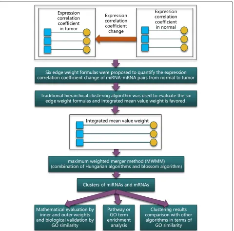 Fig. 1 Conceptual steps of the whole methodology of pipeline. Blue squares denote miRNA