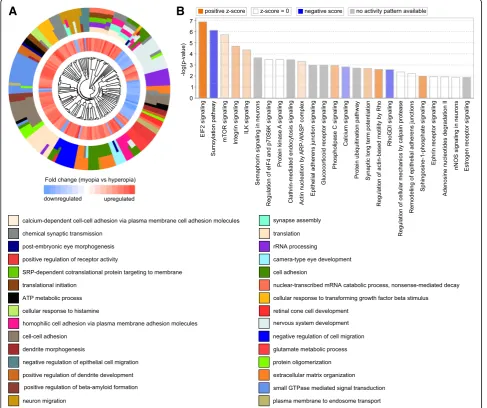 Fig. 10 Summary of key biological processes and pathways affected by genes underlying refractive eye development and found to be linked toHorizontal yellow line indicatesunderlying baseline refractive eye development in humans