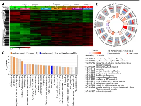 Fig. 2 Baseline refractive eye development in mice is regulated by a large number of genes via multiple retinal signaling pathways.of 2,302 retinal genes correlates with baseline refractive error in mice