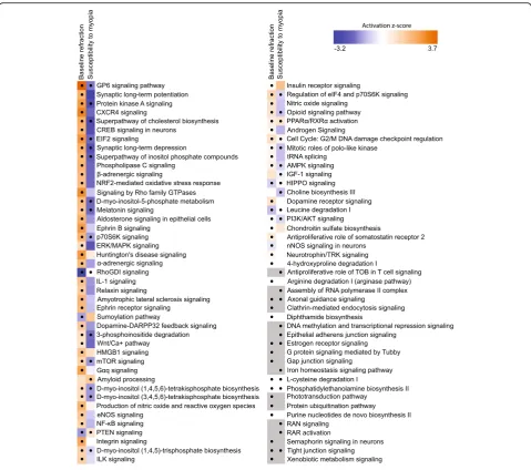 Fig. 5 Summary of signaling pathways involved in regulation of baseline refractive eye development and susceptibility to myopia