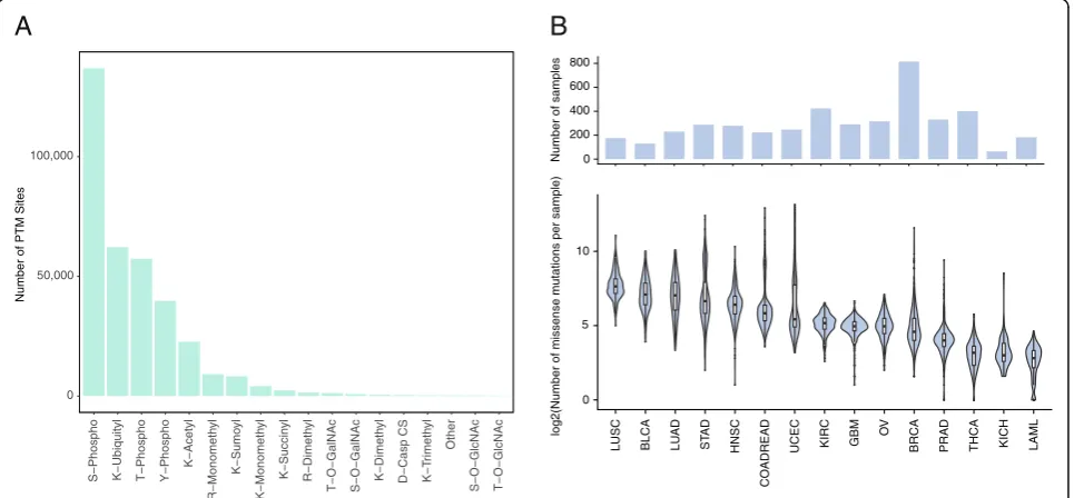Fig. 1 Overview of PhosphoSitePlus and TCGA datasets. a Total number of human PTM sites by PTM type in PhosphoSitePlus