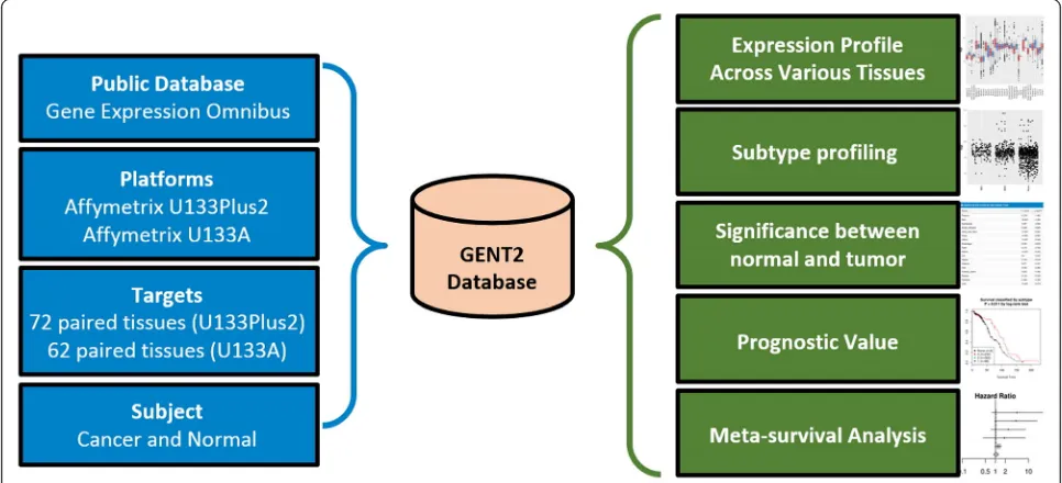Fig. 1 Overview of the GENT2 database system. We collected data from the GEO public repository using only two platforms, U133Plus2 (GPL570)and U133A (GPL96)