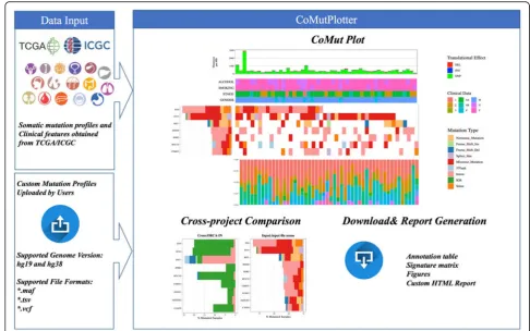 Fig. 1 Framework of CoMutPlotter. In addition to TCGA/ICGC data, CoMutPlotter can take mutational profiles from custom projects in MAF, TSVReport Generationand VCF formats