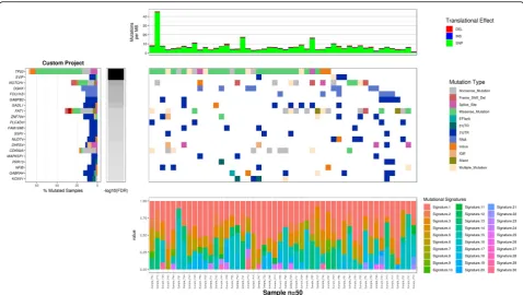 Fig. 2 Output of CoMutPlotter. The mutation profile of custom cohort is displayed as a heatmap in the main body of the plot, using differentglyphs and colors to reveal diverse type of gene mutations in different patients