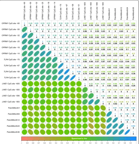 Fig. 2 Explorative analysis of the correlations between the methylation status at d = 14 CpG sites in OPRM1, TLR4, or LINE1 and with the painratings acquired between 1 and 36 months after breast cancer surgery