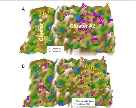 Fig. 3 Clustering of subjects based on DNA methylation at CpG sites in OPRM1, TLR4, and LINE1, obtained using unsupervised machine learning.U-matrix visualization of the data structure found via a projection onto a toroid neuronal grid using a parameter-fr